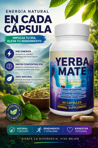 Yerba mate
