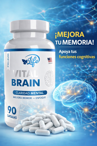 Vital Brain