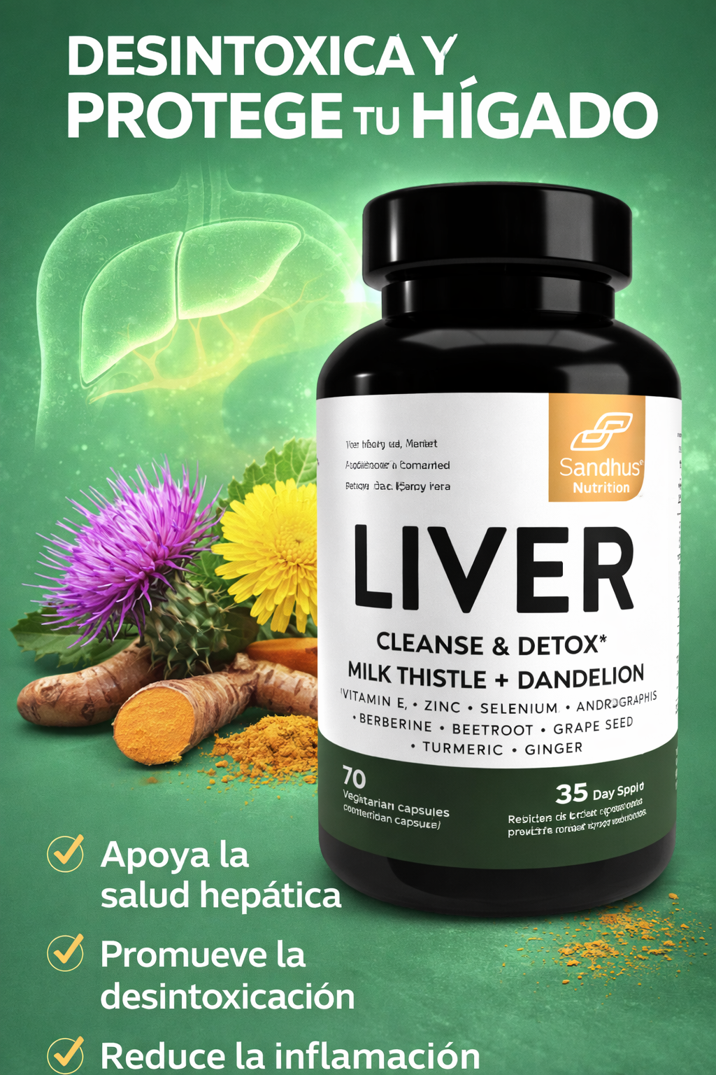 Liver