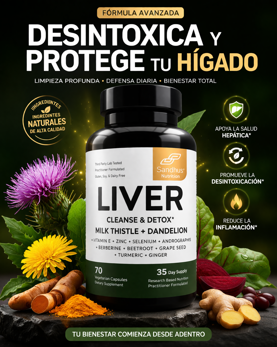 Liver