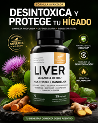 Liver