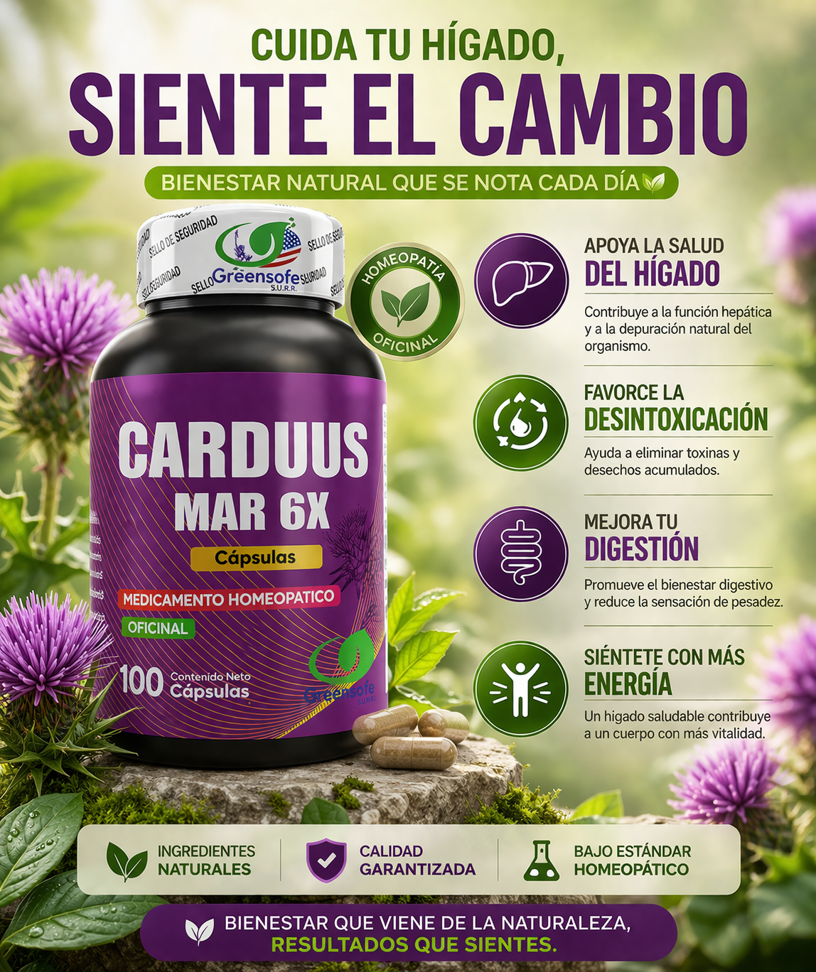 Cardus Mar 6x