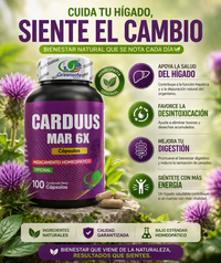 Cardus Mar 6x