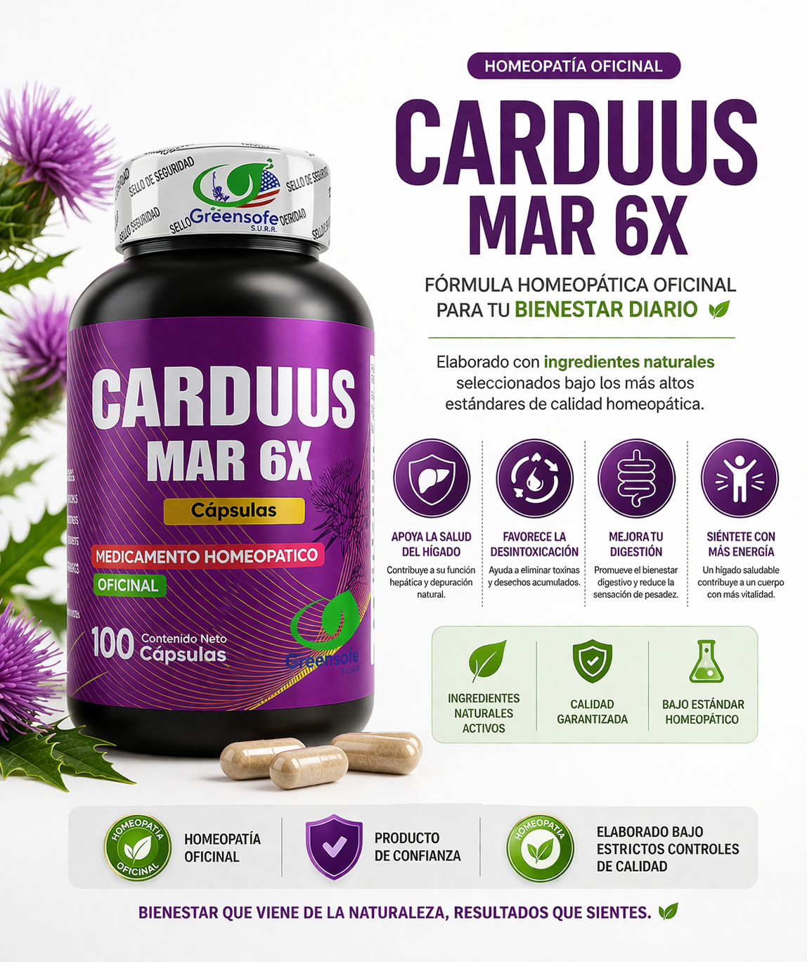 Cardus Mar 6x